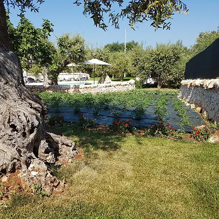 Дом отдыха Almapetra Trulli