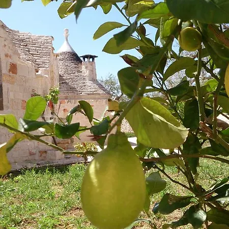 Дом отдыха Almapetra Trulli