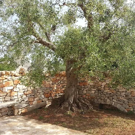 Almapetra Trulli * Locorotondo