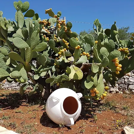 Casa vacanze Almapetra Trulli