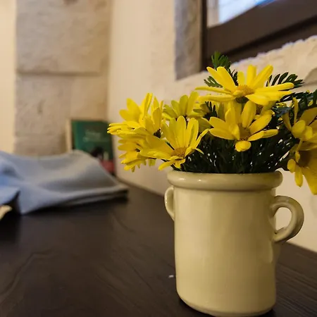 Tatil Evi Almapetra Trulli Locorotondo