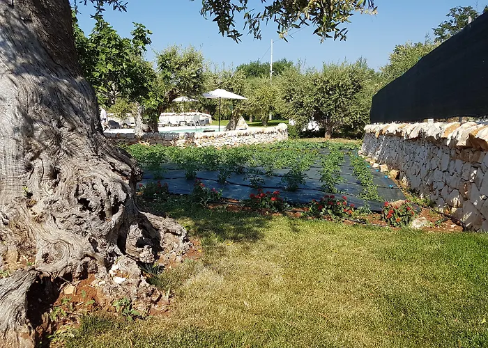 Holiday home Almapetra Trulli